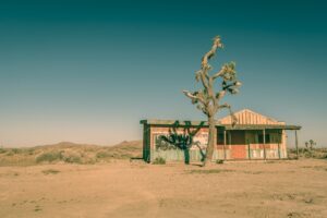 Las Vegas Fiasko Die Wahrheit Warum Touristen Die Stadt Verlassen Ist Unglaublich - iwcb4ma