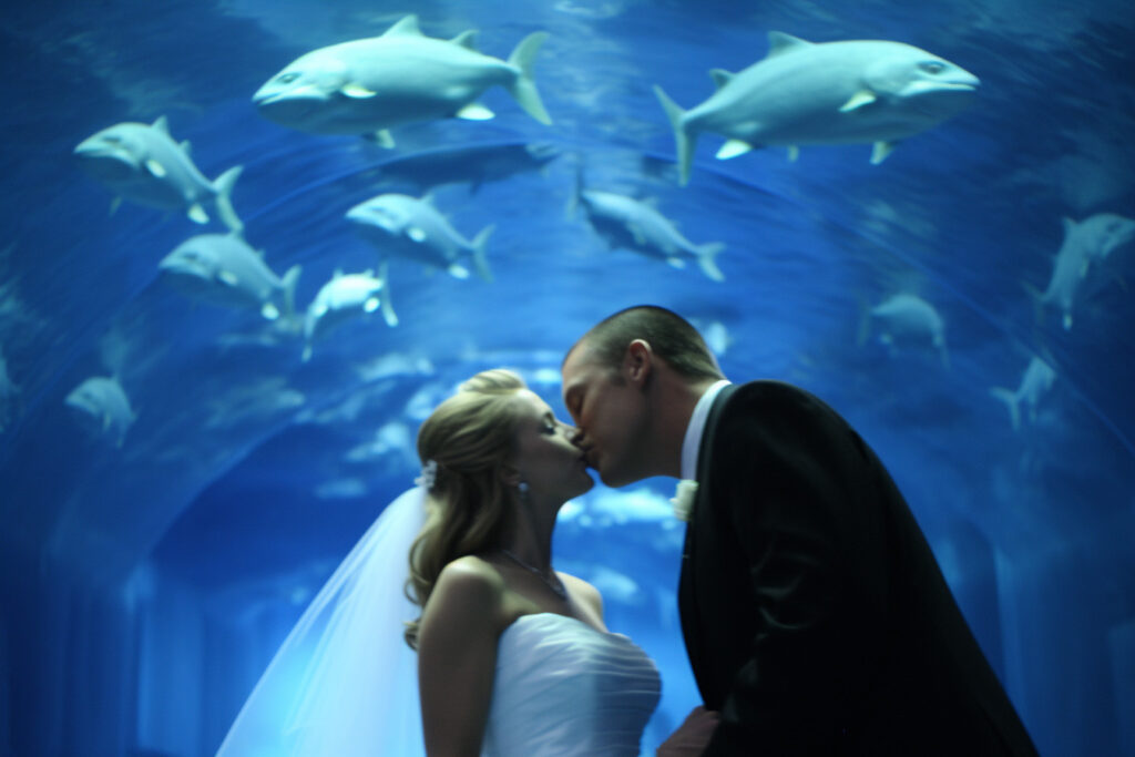 Heiraten in Las Vegas Die 10 verrücktesten Kapellen und Locations